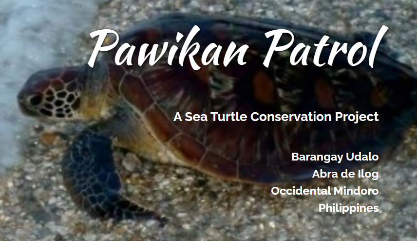 Infromation about a turtle hatchery site at Munting Buhangin Beach , Mindoro 